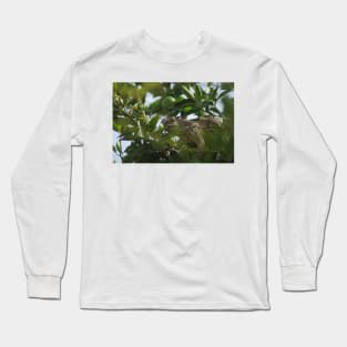 cll iguana Long Sleeve T-Shirt